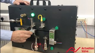 Topworx Go Switch Plug and Play Demonstration [upl. by Akirahc]