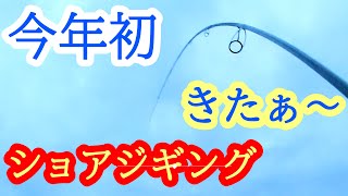 【ショアジギング】今年初フィッシ 青物狙い ブリ サワラ釣行２０２４年２月上旬ごろ [upl. by Lerej817]