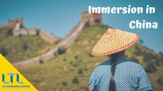 HOW TO  Experience full Chinese Immersion Follow Seans story at LTL [upl. by Howzell]