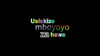 dogo Janja Ngarenaro Lyrics [upl. by Proulx]