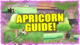 ALL Apricorn Tree Locations in Pokemon Sword and Shield Isle of Armor DLC [upl. by Courtland]