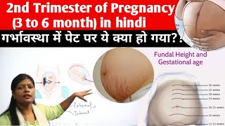 Pregnancy during 2nd trimester  Quickening primary areola fundus height ballottement etc [upl. by Stucker]