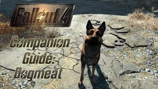 Fallout 4 Companion Guide Dogmeat [upl. by Aleafar593]