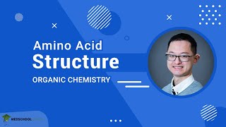 Structure of Amino Acids  MCAT Organic Chemistry Prep [upl. by Belvia]