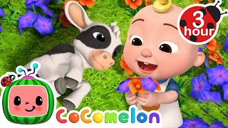 JJ Plays With His Baby Farm Animals 🐮 CoComelon Nursery Rhymes amp Kids Songs  3 HOURS  After School [upl. by Ytsirhc128]