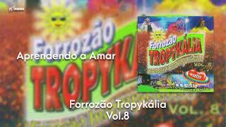 Forrozão Tropykália  Vol 8  Aprendendo a Amar [upl. by Placeeda]