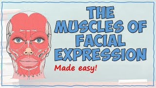 The Muscles of Facial Expression [upl. by Euqcaj]