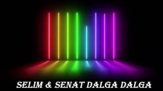 Selim Struga amp Senat Sax Struga Dalga Dalga amp Kicevsko 2023 [upl. by Nrubyar962]