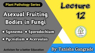 Asexual Fruiting Bodies  Fructification in Fungi  Synnemata  Pycnidium  Acervuli  by Tanisha [upl. by Ailadi]