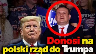 Donosiciel PiS Dominik Tarczyński wnuk szmalcownika donosi na Polski rząd Trumpowi [upl. by Drarreg]