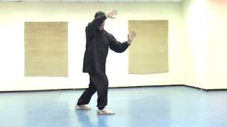 Tai Chi  37 Forms  Chen Man Ching  Yang Style by Alexander Kosko [upl. by Iohk338]