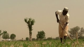 Nigeria battles a worsening malnutrition crisis [upl. by Enirac]