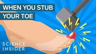 Why Stubbing Your Toe Hurts So Much [upl. by Wells]