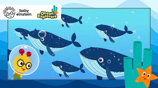 Swimming Home with Humpback Whales Song  NEW Ocean Explorers  Baby Einstein Toddler amp Kids Cartoon [upl. by Githens]