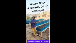 Terrace Garden setup at Srinagar Colony Hyderabad [upl. by Yatnuhs808]