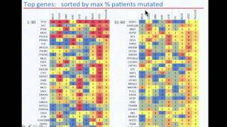 TCGA Analysis of Somatic Mutations Across Many Tumor Types  Petar Stojanov [upl. by Wallinga993]