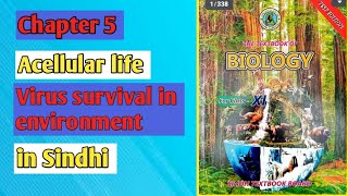 virus survival in the environment class 11 biology Sindh board [upl. by Eirojram]