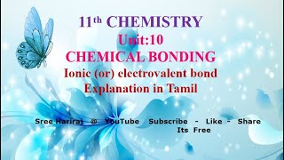 Ionic or electrovalent bond in Tamil  Unit 10  11th Chemistry [upl. by Fita91]