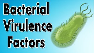 Bacterial Virulence Factors [upl. by Garcia]