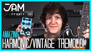 AMAZING VINTAGE ANALOG HARMONIC TREMOLO TONES Harmonious Monk  Jam Pedals Demo [upl. by Anelac]