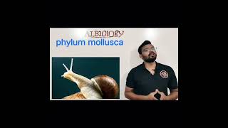 phylum mollusca  animal classification  Viral Short  Avinash sir [upl. by Yeldah]