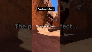 Primacy Effect shorts psychologyfacts subscribe [upl. by Nari]