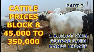 Cattle Prices in Block 8  Sohrab Goth Mandi Update 1 August 2018 Part 3 [upl. by Bina]