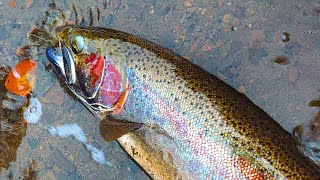 Spring Steelhead Fishing 2022 in Thunder Bay [upl. by Ramoh792]