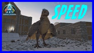 Ascended Ark  Argy Speed [upl. by Dole86]