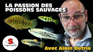 Poissons en danger  À la découverte des poissons de formes naturelles avec Alain Detrie [upl. by Onitsoga]