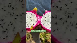 Selenicereus undatus  Also known as pitahaya Dragon Fruit is just as delicious as it is beautiful [upl. by Nannek]