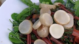 Salad Essentials Why You Should Add White Beets [upl. by Ierna290]