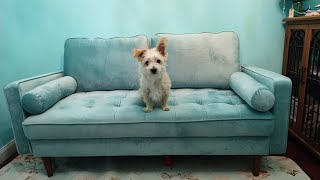 Modway Valour Mint Velvet Loveseat Sofa Couch Tufted Review [upl. by Daloris]