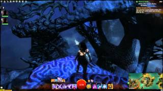 Guild Wars 2 Viziers Tower Skill Point  Vista [upl. by Tlevesor]