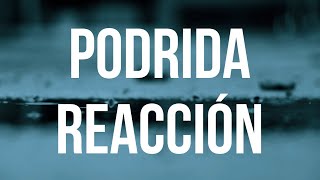 KOLibri  Podrida Reacción Lyric Video [upl. by Ahsenek927]