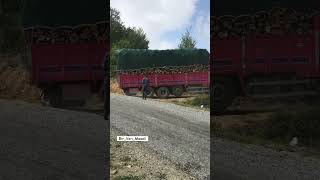 Tampon işi bıraktı 😂😂 Onur Yol yolsanakliyat keşfet mercedes axor3240 odunjeti🚀 [upl. by Annua466]