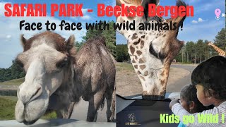 Safari Park  4K  Autosafari  Beekse Bergen  Netherlands  ZOO  Walking Tour wildanimals  4K [upl. by Sauers]