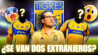 TIGRES TIENE UNA BAJA CONFIRMADA Y OTRA EN DUDA  DOS EXTRANJEROS SE VAN😱🔥 [upl. by Neila]