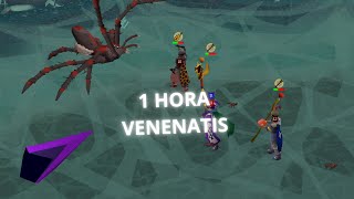 1 HORA DE VENENATIS OSRS EN ESPAÑOL 2024 [upl. by Maggs406]