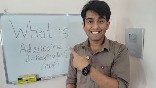 Learn What is Adenosine Diphosphate ADP   ADP  The Key to Cellular energy transfer in Biology [upl. by Annaiviv982]