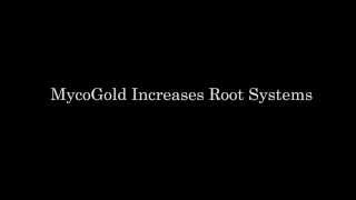 MycoGold Biological Inoculant Increases Root System for Crops [upl. by Adnak]