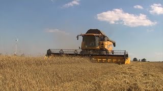 TraktorTV Folge 51  Ein New Holland CX 8090 im Winterroggen [upl. by Rramed]