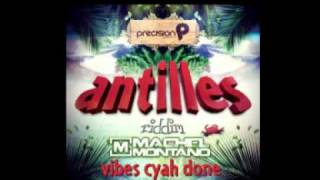 Machel Montano  Vibes Cyah Done Antilles Riddim 2012 [upl. by Artemahs]