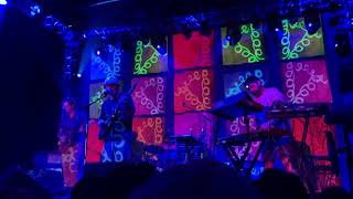 Animal Collective  Bluish live Dallas 2022 [upl. by Luamaj]