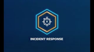 Arctic Wolf Incident Response [upl. by Cybil432]