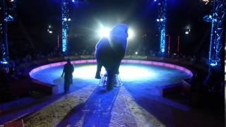 12  Merano 2012  ADRIANA FOLCO ALTHOFF  Elephant  1  Circus Merano For Kids [upl. by Ttelrahc]