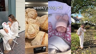 WEEKLY VLOG asos  boohoo haul  pumpkin picking  shopping  house viewings  more [upl. by Gniy]