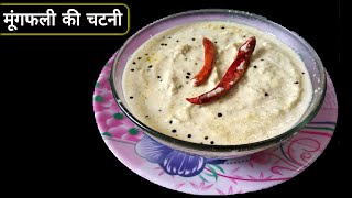 मूंगफली की चटनी बनाने की विधि‌  Peanut Chutney Recipe In Hindi [upl. by Swain211]