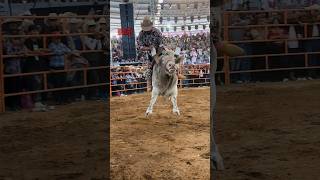 Que bonito se aferró el Jinete NUEVO TALENTO vs CHARRO Rancho la Candelaria en Moroleón Gto 2024 [upl. by Gnivri]