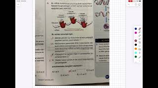 MIKAIL BİYOLOJİ PROTEİN SENTEZİ SORU VE CEVAPLARI [upl. by Lyrehc]